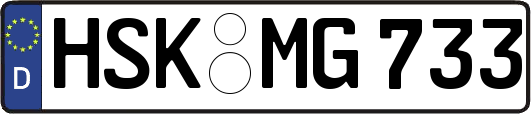 HSK-MG733