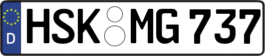 HSK-MG737