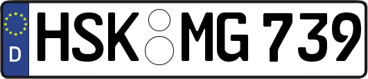 HSK-MG739