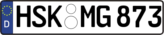 HSK-MG873