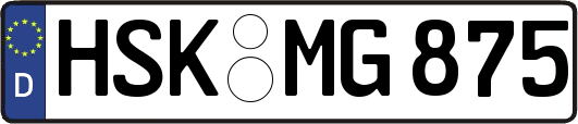 HSK-MG875