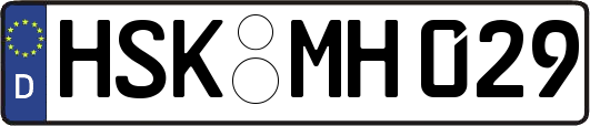 HSK-MH029