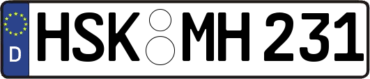 HSK-MH231