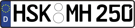 HSK-MH250