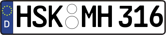 HSK-MH316