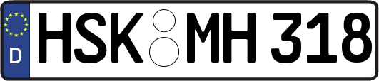 HSK-MH318