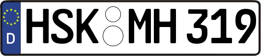 HSK-MH319