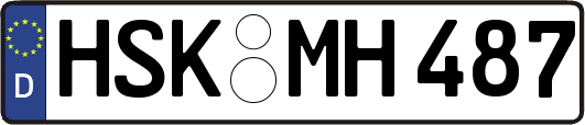 HSK-MH487