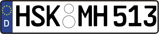 HSK-MH513