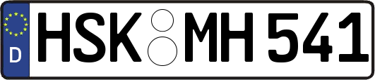HSK-MH541