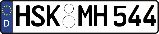 HSK-MH544