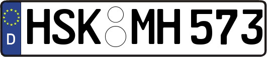 HSK-MH573