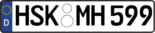 HSK-MH599