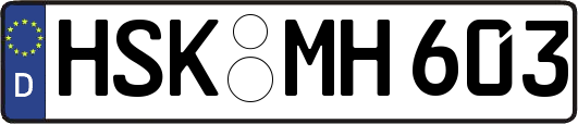 HSK-MH603