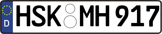 HSK-MH917