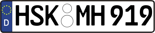 HSK-MH919