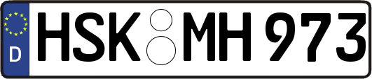 HSK-MH973