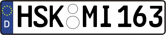 HSK-MI163