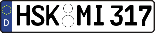 HSK-MI317