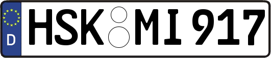 HSK-MI917