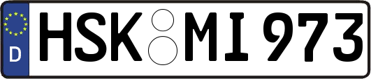 HSK-MI973