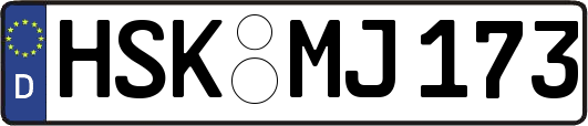 HSK-MJ173