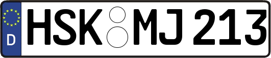 HSK-MJ213