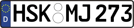 HSK-MJ273