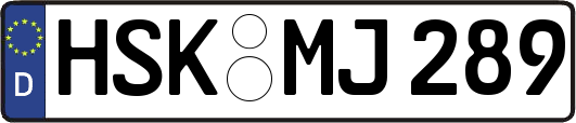 HSK-MJ289