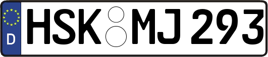 HSK-MJ293
