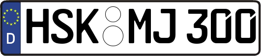 HSK-MJ300