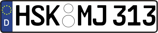 HSK-MJ313