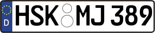 HSK-MJ389