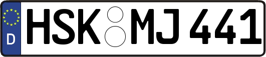 HSK-MJ441
