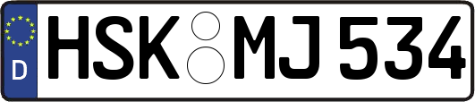 HSK-MJ534