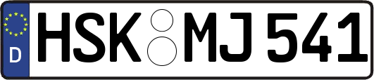 HSK-MJ541