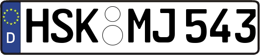 HSK-MJ543