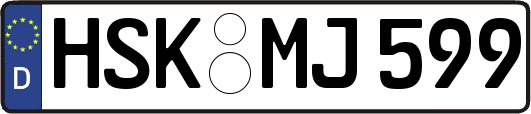 HSK-MJ599