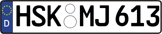 HSK-MJ613
