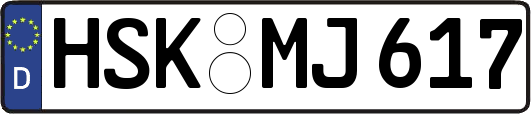 HSK-MJ617
