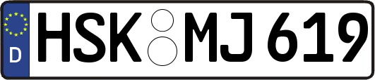 HSK-MJ619