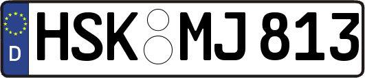 HSK-MJ813