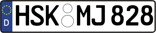 HSK-MJ828