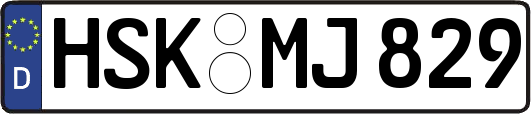 HSK-MJ829
