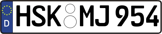 HSK-MJ954