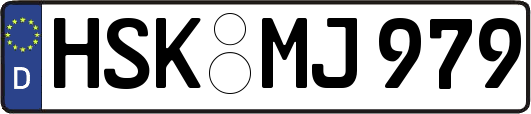 HSK-MJ979
