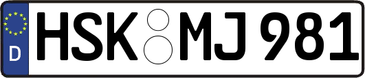 HSK-MJ981