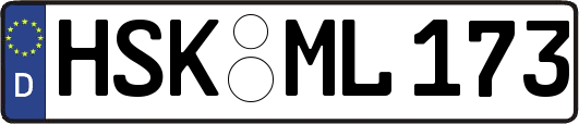 HSK-ML173