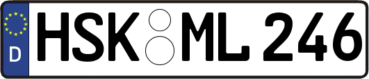 HSK-ML246