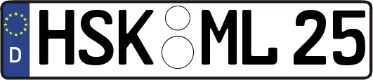 HSK-ML25